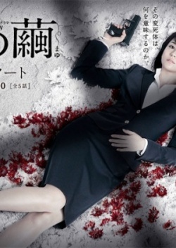 石の繭 殺人分析班 , Ishi no Mayu Satsujin Bunsekihan , Stone`s Cocoon: Murder Analysis Squad , Stone`s Cocoon